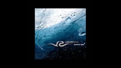 Liquid Soul - Synthetic Vibes
