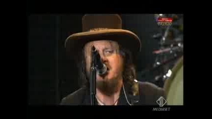 Zucchero - Wonderful Life - San Siro