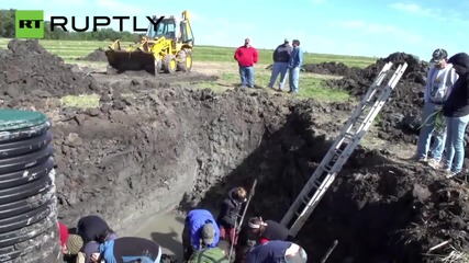 Woolly Mammoth Remains Unearthed in Michigan