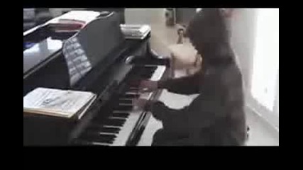 The Fastest Piano Player in the World 2