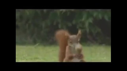 Катерица играе футбол :) 