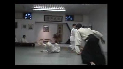Aikido The Art of Peace and Harmony