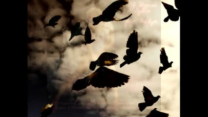 Dj Rynno Sylvia feat Phelipe - Breathe Again ( Alin Radu - a 