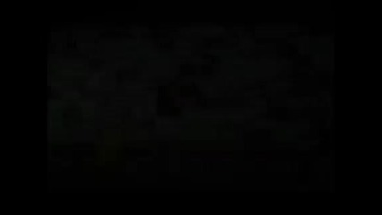 kaka 