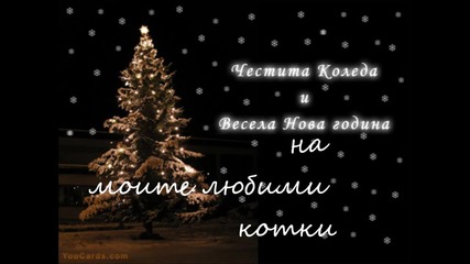 Весела Коледа