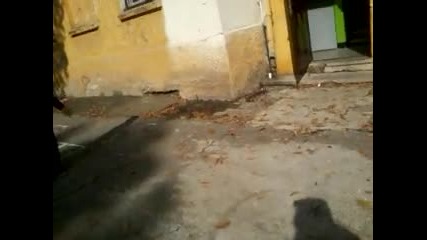 video-2012-10-31-11-12-49