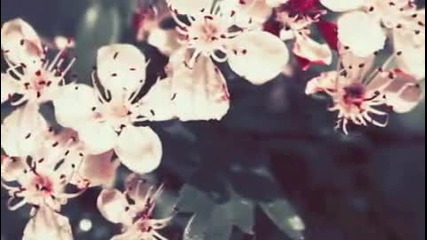 Yiruma - Spring Time