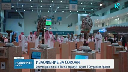 Продадоха два сокола за 131 хиляди евро на изложение в Саудитска Арабия