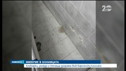 Хлебарки, ръжда и течаща дограма във варненска клиника - Новините на Нова