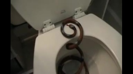 Мьж прави страхотен номер на жена си в тоалетната 