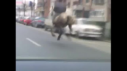 Кон се движи с 50км в час 