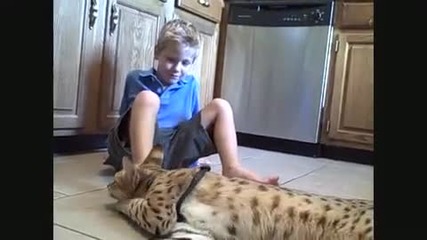 F1 Savannah Action 