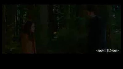 New Moon Fanmade Trailer