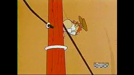 Warner Bros - 082468 3 Ring Wing - Ding Lt Cn 