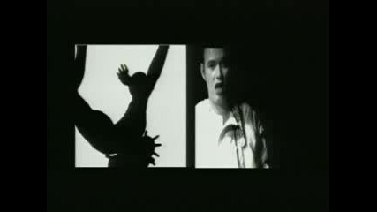 Edwyn Collins - A Girl Like You