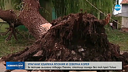 Мощни тайфуни удариха Япония и Северна Корея