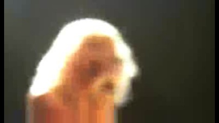 The Pretty Reckless - A.d.d.