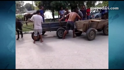 Цигани малтретират коне на състезание!