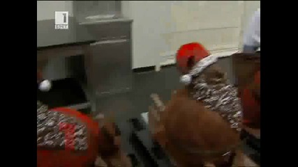 Огромна шоколадова елха