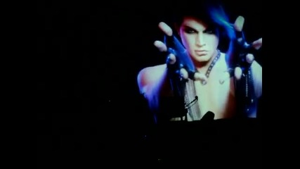 Adam Lambert Glamnation Tour Hammond, Indiana 6 - 17 - 10 Hq - - Opening, Voodoo, and Down The Rabbi