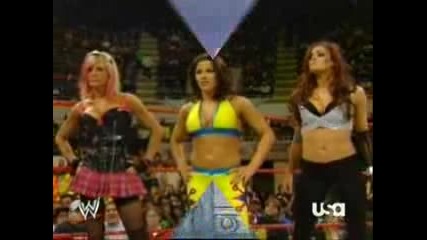 New Wwe Divas Tribute