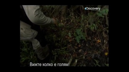 Ultimate Survival Vietnam