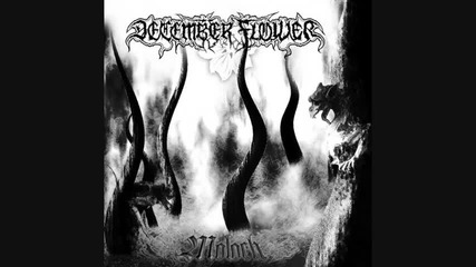 December Flower - Haunted By Horror 