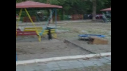 nikito front flip dpc