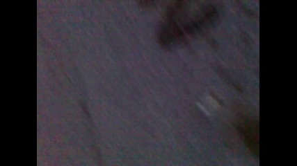 koleloto na mariqn