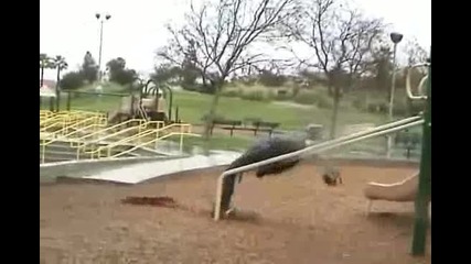 playground - fail