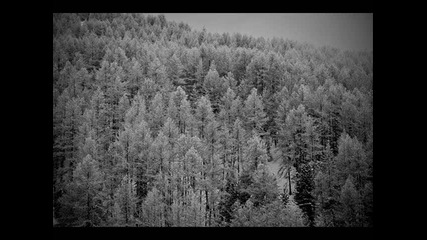 Arvet - Kaeaermeen Sana Kuolemissani