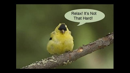 Youtube - Netsky - Power Of Sound