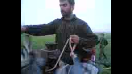 Магаре Модел 2010i