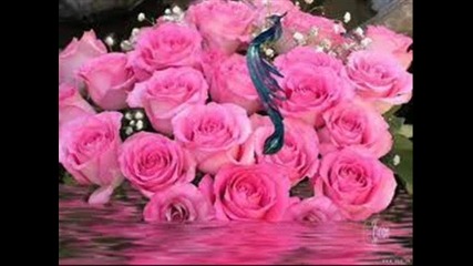 Arash -pure love