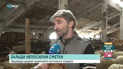 Овцевъди държат животните на тъмно и студено - пестят от сметки