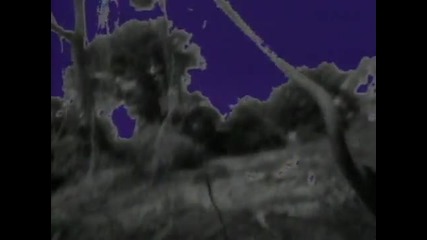 R. E. M. - Radio Free Europe