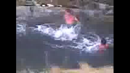 Вира В Село Стакевци