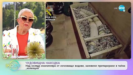 Над хиляда екземплята от изчезващи видове, заловени препарирани в тайна „колекция”