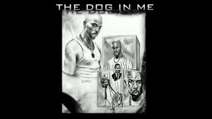 Dmx - Already