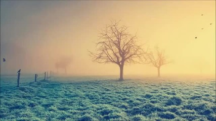 Erdi Irmak - Remote (original Mix)