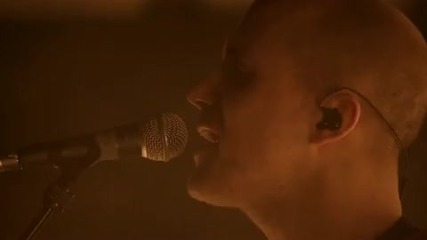 Milow - Ayo Technology (live) 