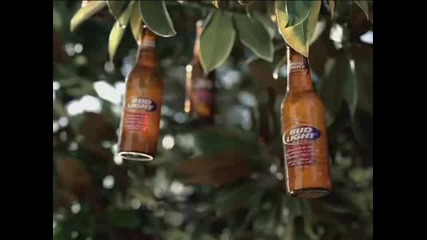 New House - Bud Light 