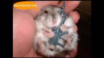 Смешни и сладки животинки
