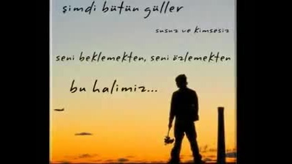 adem1 