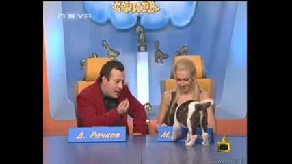Dancing Stars краде от - Господари на ефира 29.09 