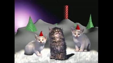 Christmas cats