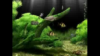 Dream Aquarium - screensaver