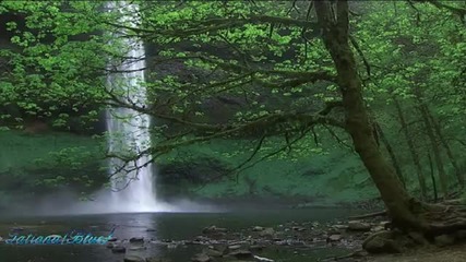 Plum Blossom - Romantic saxophone