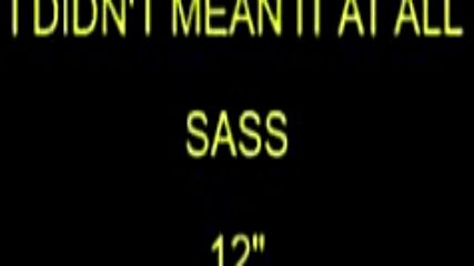 sasss--i Didn`t Mean It At All - 1984