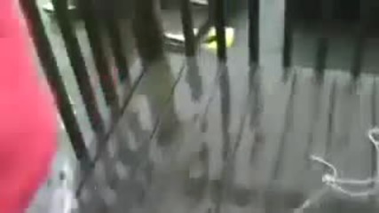 Изненада , вместо риба , акула